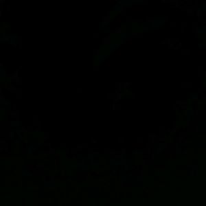 Meet your Posher, Tristan